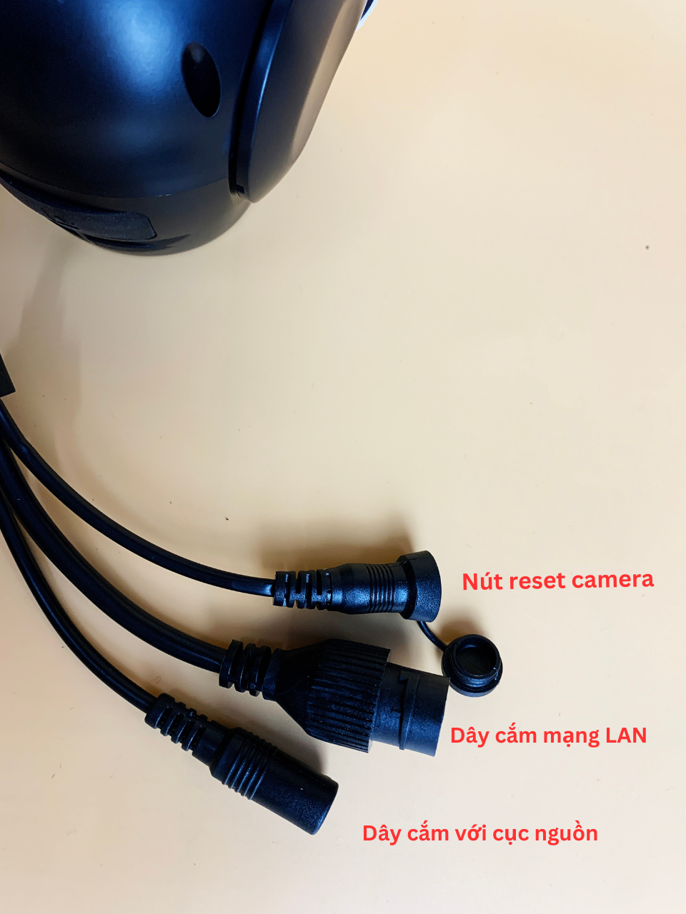 Cổng LAN và nút reset camera